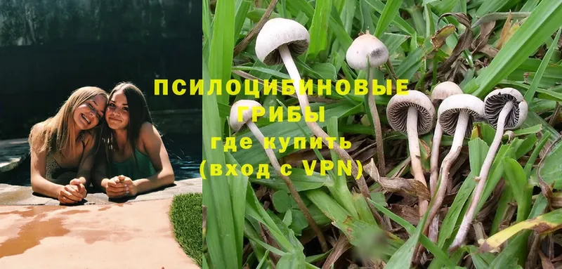 MEGA ССЫЛКА  Тобольск  Псилоцибиновые грибы Magic Shrooms 